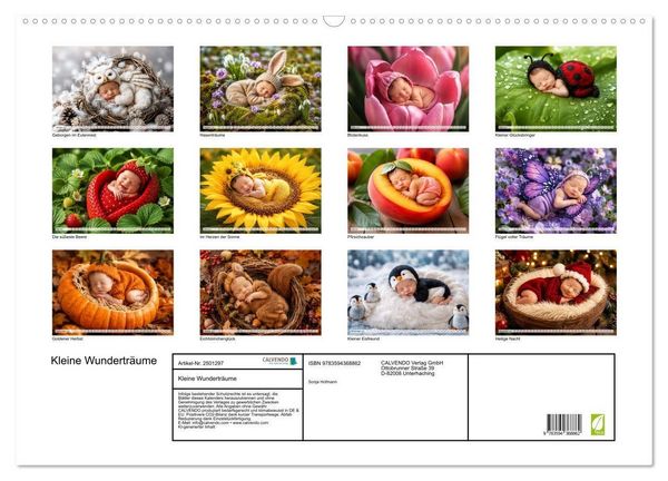 Produktbild: Kleine Wundertr&auml;ume (Wandkalender 2027 DIN A2 quer), CALVENDO Monatskalender