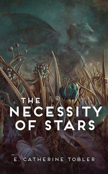 Produktbild: The Necessity of Stars