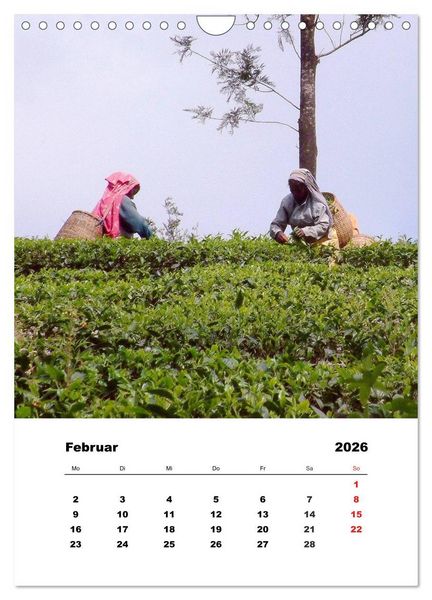Produktbild: In Kerala (Wandkalender 2026 DIN A4 hoch), CALVENDO Monatskalender