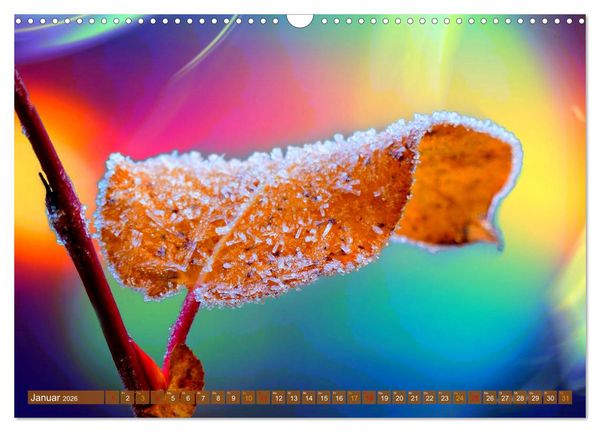 Produktbild: Grandiose Farbenspiele (Wandkalender 2026 DIN A3 quer), CALVENDO Monatskalender