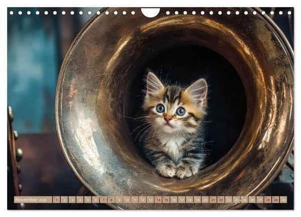 Produktbild: Miau-sikalische Momente (Wandkalender 2026 DIN A4 quer), CALVENDO Monatskalender
