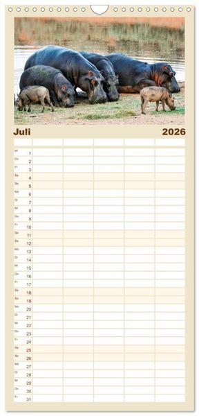 Produktbild: Familienplaner 2026 - Flusspferde - gem&uuml;tlich gef&auml;hrlich mit 5 Spalten (Wandkalender, 21 x 45 cm) CALVENDO