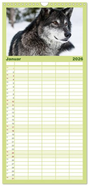Produktbild: Familienplaner 2026 - W&ouml;lfe. Verwegene Anmut mit 5 Spalten (Wandkalender, 21 x 45 cm) CALVENDO