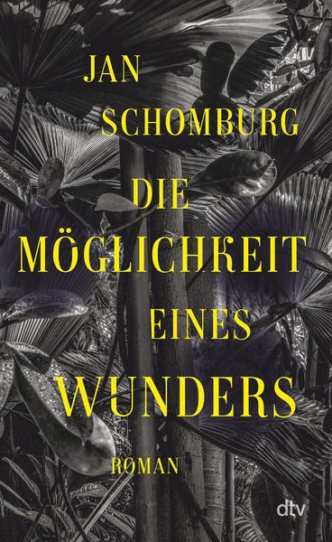 Produktbild: Die M&ouml;glichkeit eines Wunders
