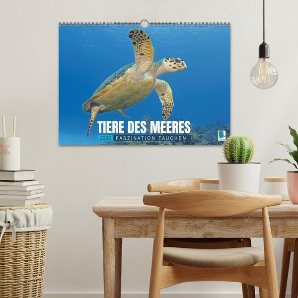 Produktbild: Tiere des Meeres: Faszination Tauchen (Wandkalender 2026 DIN A3 quer), CALVENDO Monatskalender