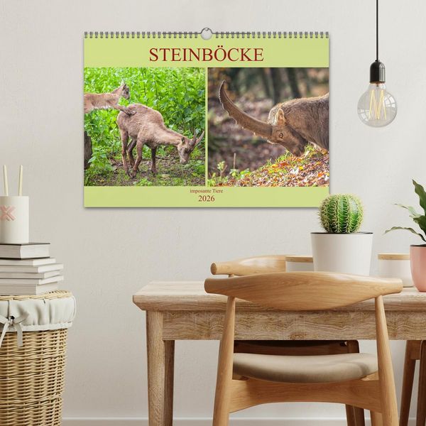 Produktbild: Steinb&ouml;cke - imposante Tiere (Wandkalender 2026 DIN A3 quer), CALVENDO Monatskalender