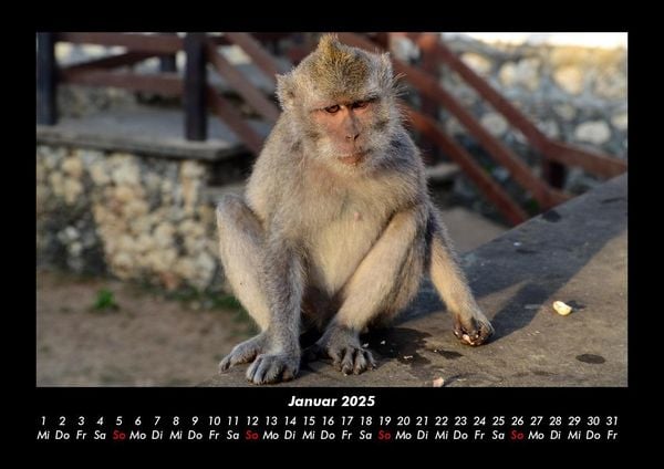 Produktbild: Indonesien 2025 Fotokalender DIN A3