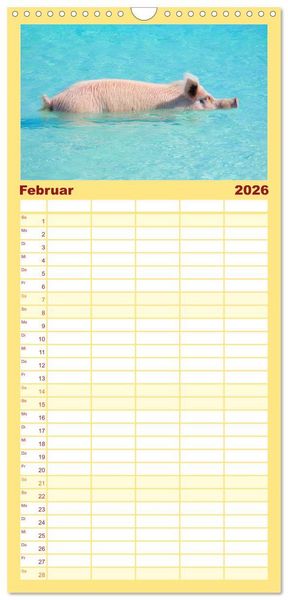 Produktbild: Familienplaner 2026 - Schweine im Dauerurlaub auf den Bahamas! mit 5 Spalten (Wandkalender, 21 x 45 cm) CALVENDO