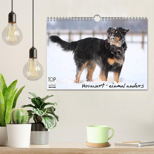 Produktbild: Hovawarte - einmal anders (Wandkalender 2026 DIN A4 quer), CALVENDO Monatskalender