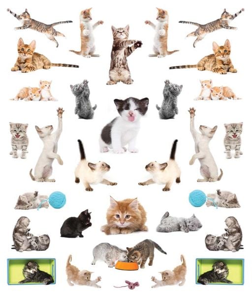Produktbild: Eyelike Stickers: Kittens