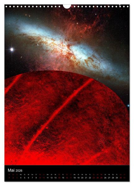 Produktbild: Mikrokosmos &ndash; Makrokosmos (Wandkalender 2026 DIN A3 hoch), CALVENDO Monatskalender
