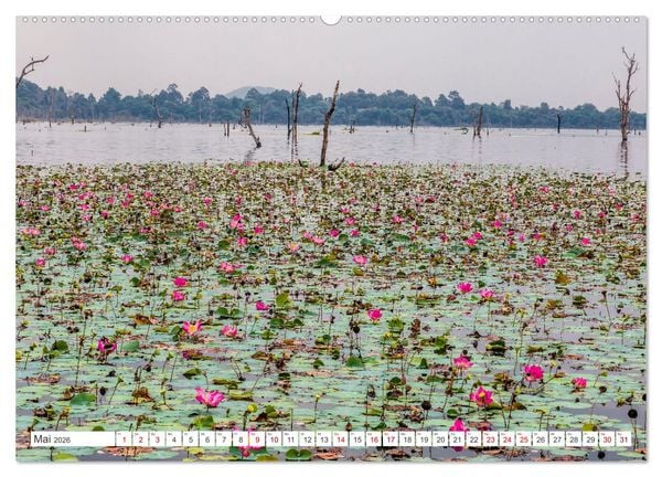 Produktbild: Siem Reap Stadt der Tempel Kambodscha (hochwertiger Premium Wandkalender 2026 DIN A2 quer), Kunstdruck in Hochglanz