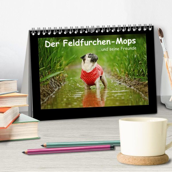 Produktbild: Der Feldfurchen-Mops (Tischkalender 2026 DIN A5 quer), CALVENDO Monatskalender