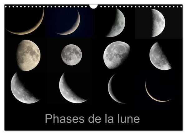 Produktbild: Phases de la lune (Calendrier mural 2026 DIN A3 vertical), CALVENDO calendrier mensuel