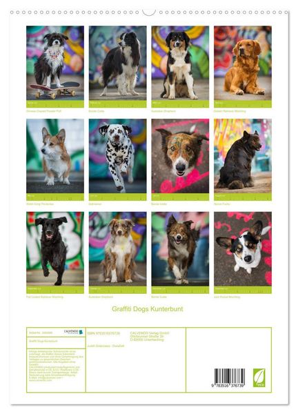 Produktbild: Graffiti Dogs Kunterbunt (hochwertiger Premium Wandkalender 2026 DIN A2 hoch), Kunstdruck in Hochglanz