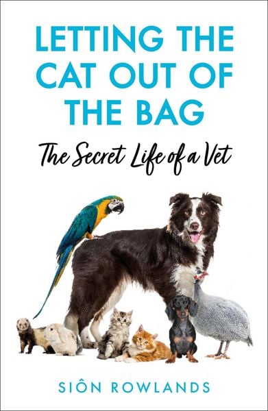 Produktbild: Letting the Cat Out of the Bag
