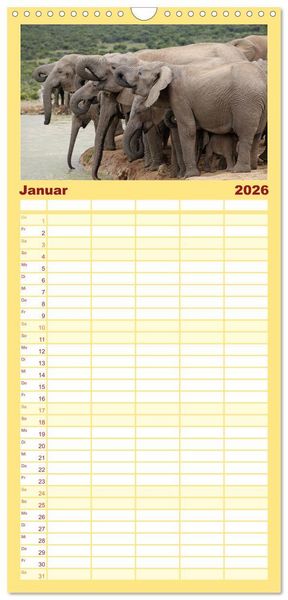 Produktbild: Familienplaner 2026 - Elefanten in Afrika mit 5 Spalten (Wandkalender, 21 x 45 cm) CALVENDO
