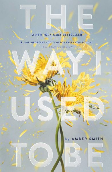 Produktbild: The Way I Used to Be