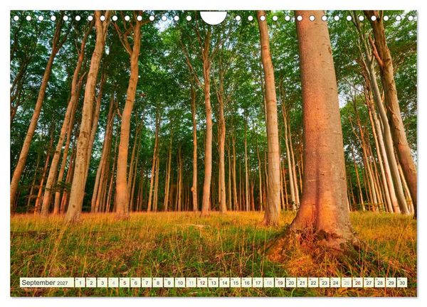 Produktbild: R&uuml;gen - Jasmund Nationalpark (Wandkalender 2027 DIN A4 quer), CALVENDO Monatskalender