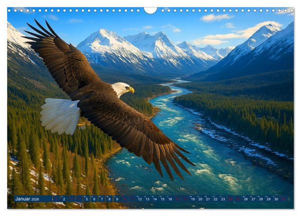 Produktbild: &Uuml;ber dem Vogelflug (Wandkalender 2026 DIN A3 quer), CALVENDO Monatskalender