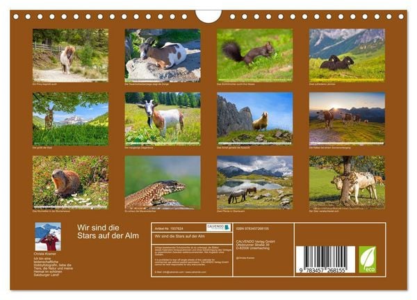 Produktbild: Wir sind die Stars auf der Alm (Wandkalender 2026 DIN A4 quer), CALVENDO Monatskalender