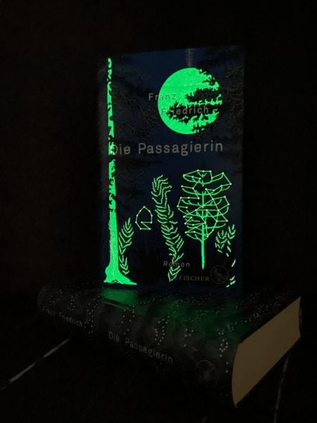 Produktbild: Die Passagierin
