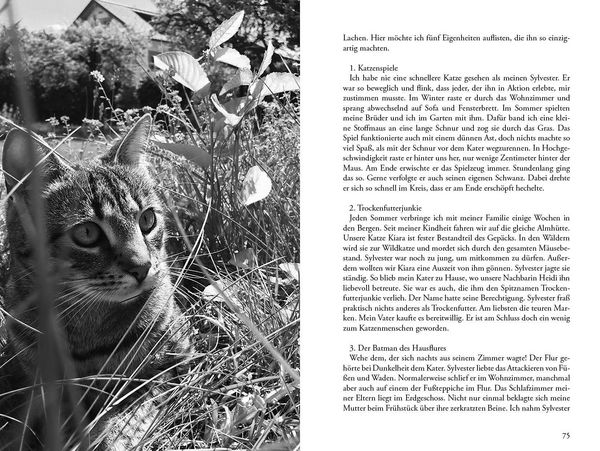 Produktbild: Meine Katze ... und ich