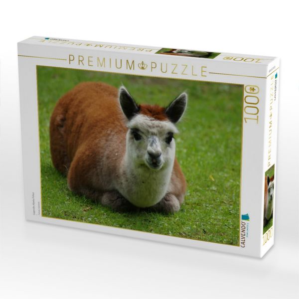 Produktbild: CALVENDO Puzzle Liegendes Alpaka Fohlen | 1000 Teile Lege-Gr&ouml;&szlig;e 64x48cm Foto-Puzzle f&uuml;r gl&uuml;ckliche Stunden