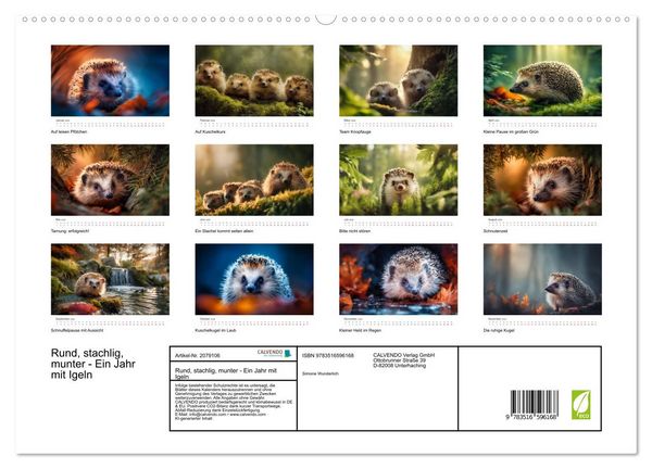 Produktbild: Rund, stachlig, munter - Ein Jahr mit Igeln (hochwertiger Premium Wandkalender 2026 DIN A2 quer), Kunstdruck in Hochglanz