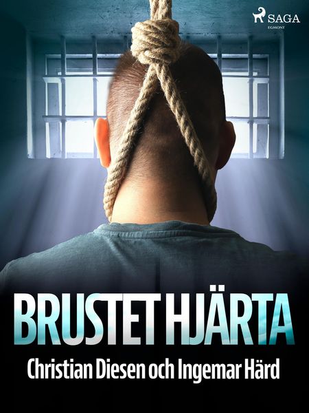 Produktbild: Brustet hj&auml;rta