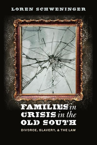 Produktbild: Families in Crisis in the Old South