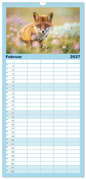 Produktbild: Familienplaner 2027 - Zwischen den Feldern mit 5 Spalten (Wandkalender, 21 x 45 cm) CALVENDO