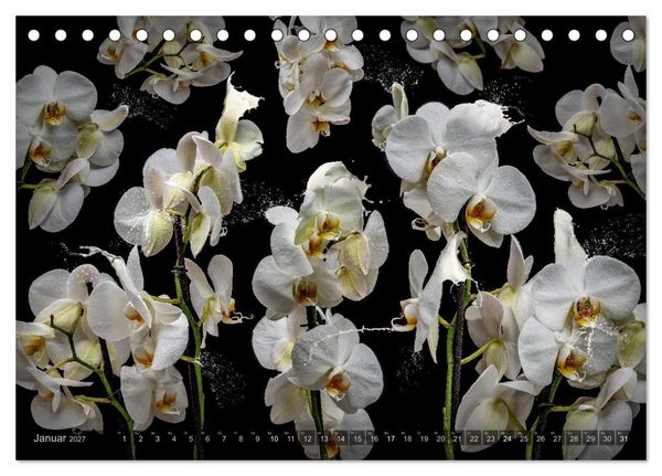 Produktbild: Orchidea (Tischkalender 2027 DIN A5 quer), CALVENDO Monatskalender