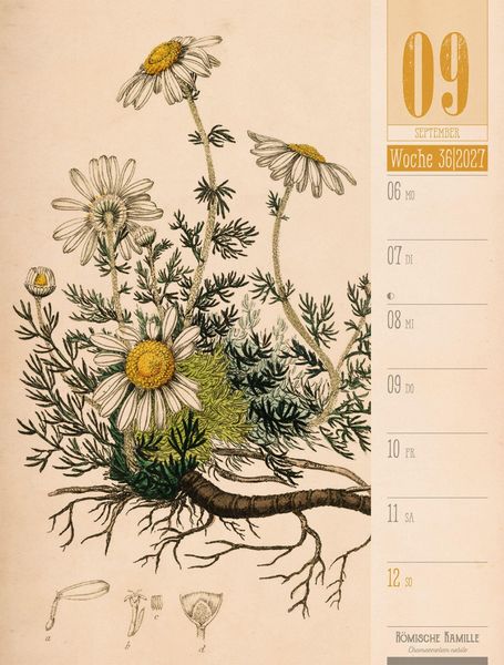 Produktbild: Culinarium Wochenplaner Kalender 2027 | K&uuml;che, Kr&auml;uter, Kurioses