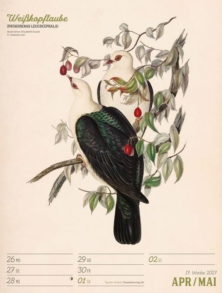 Produktbild: Wunderbare Vogelwelt Wochenplaner Kalender 2027