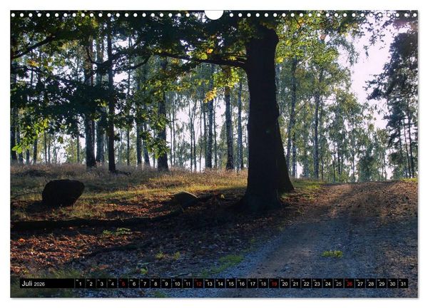 Produktbild: Brandenburg'sche Impressionen (Wandkalender 2026 DIN A3 quer), CALVENDO Monatskalender