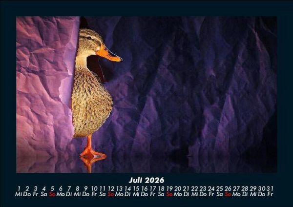 Produktbild: Vogelparadies 2026 Fotokalender DIN A5