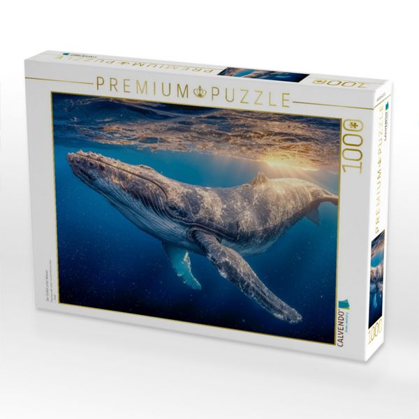 Produktbild: CALVENDO Puzzle Der Schlaf unter Wasser | 1000 Teile Lege-Gr&ouml;&szlig;e 64x48cm Foto-Puzzle f&uuml;r gl&uuml;ckliche Stunden