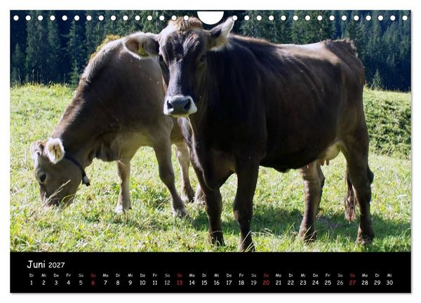 Produktbild: Schweiz - Berglandschaften (Wandkalender 2027 DIN A4 quer), CALVENDO Monatskalender