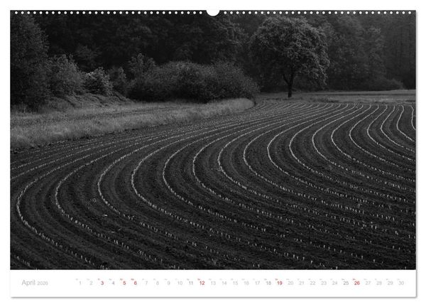 Produktbild: Mystischer Schwarzwald (Wandkalender 2026 DIN A2 quer), CALVENDO Monatskalender