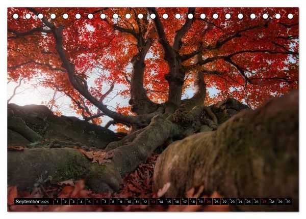 Produktbild: Lichtstimmungen Th&uuml;ringen - Eine Reise von Morgens bis Abends (Tischkalender 2026 DIN A5 quer), CALVENDO Monatskalender