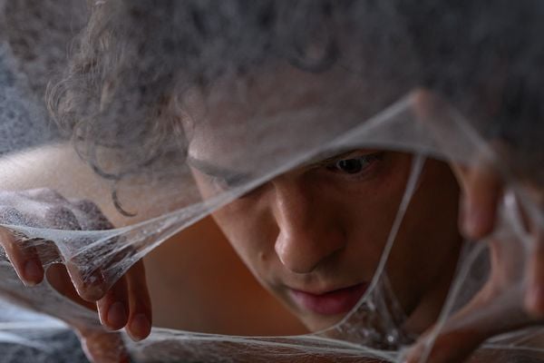 Produktbild: Spider-Man: Brand New Day