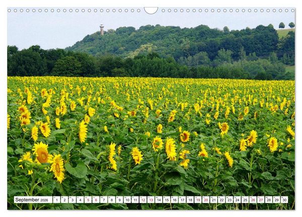 Produktbild: Colditz und Umgebung (Wandkalender 2026 DIN A3 quer), CALVENDO Monatskalender