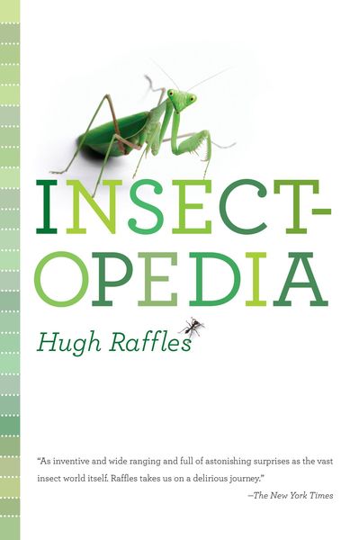 Produktbild: Insectopedia