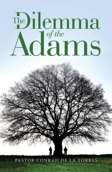 Produktbild: The Dilemma of the Adams
