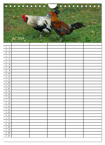 Produktbild: Bauernhoftiere Familienplaner (Wandkalender 2026 DIN A4 hoch), CALVENDO Monatskalender