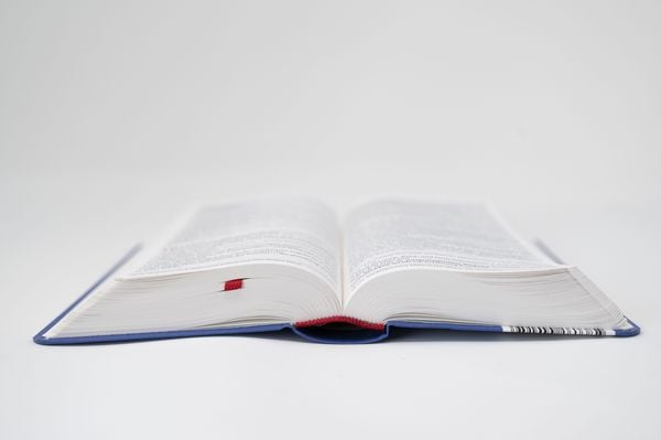 Produktbild: Die Bibel. Taschenausgabe Leder rustique mit Rei&szlig;verschluss