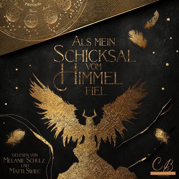 Produktbild: Als mein Schicksal vom Himmel fiel