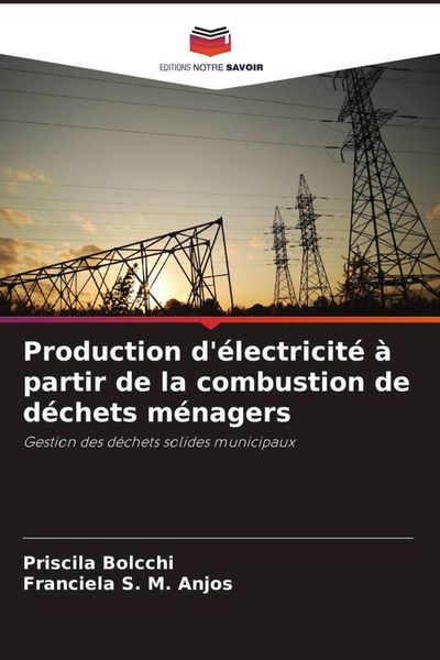 Produktbild: Production d'&eacute;lectricit&eacute; &agrave; partir de la combustion de d&eacute;chets m&eacute;nagers