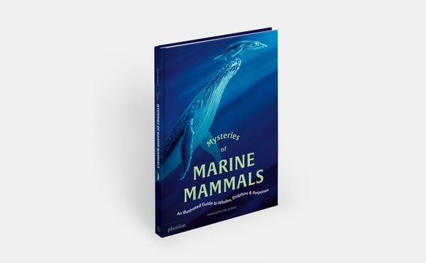 Produktbild: Mysteries of Marine Mammals: An Illustrated Guide to Whales, Dolphins, and Porpoises (2025)